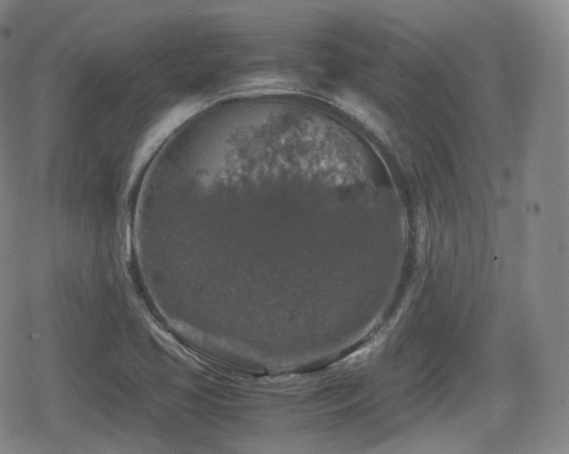 X0000080161413200612081324