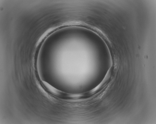 X0000080161422200612081324