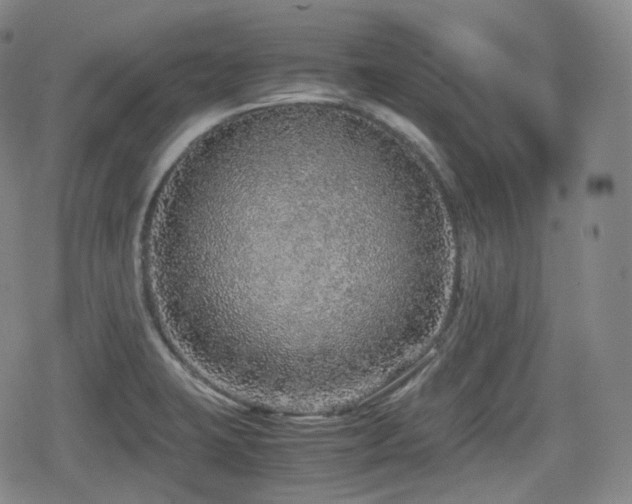 X0000080161423200612081324