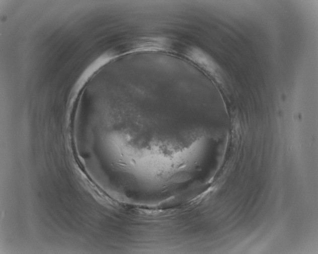 X0000080161427200612081324