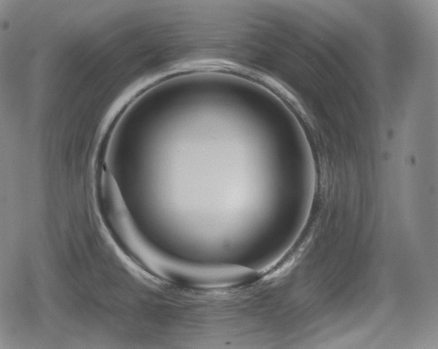 X0000080161430200612081324