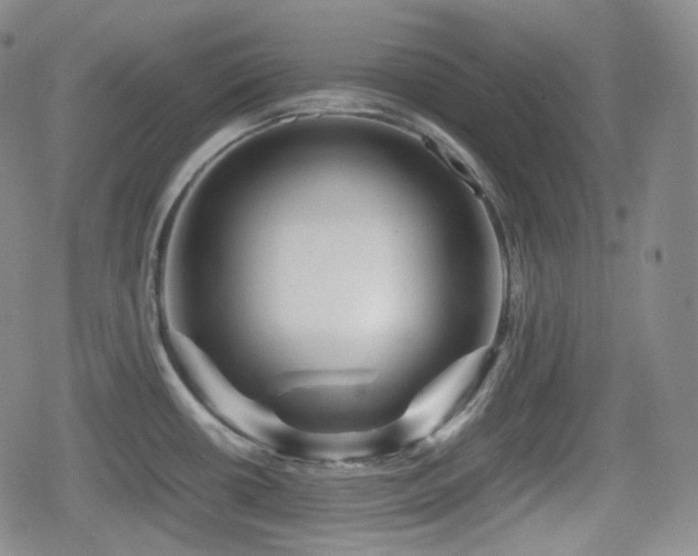 X0000080161434200612081324