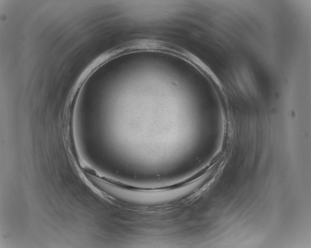 X0000080161437200612081324