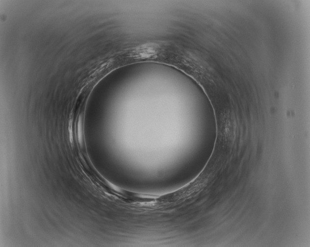 X0000080161442200612081323