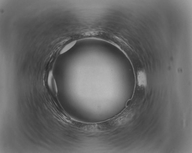 X0000080161444200612081323