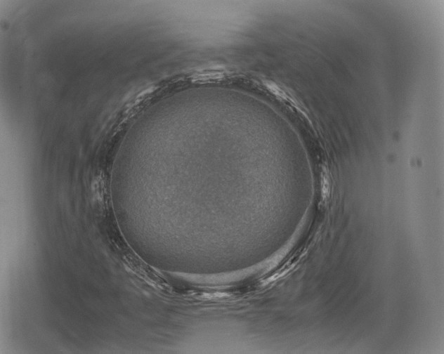 X0000080161445200612081323