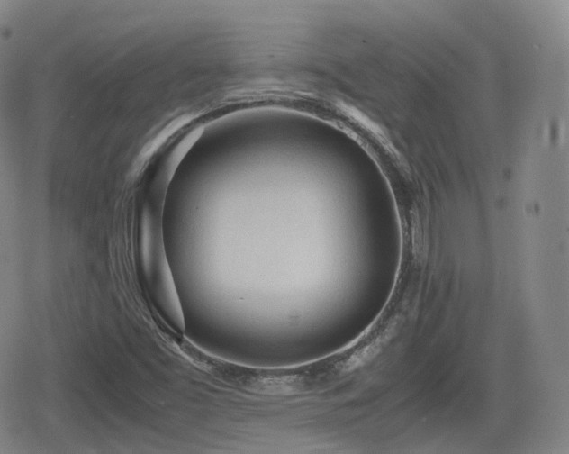 X0000080161453200612081323