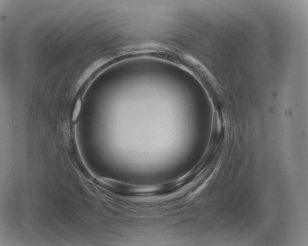 X0000080161457200612081323