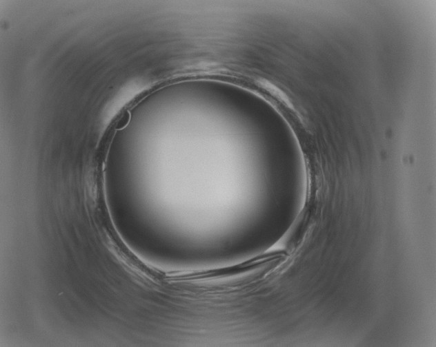 X0000080161458200612081323