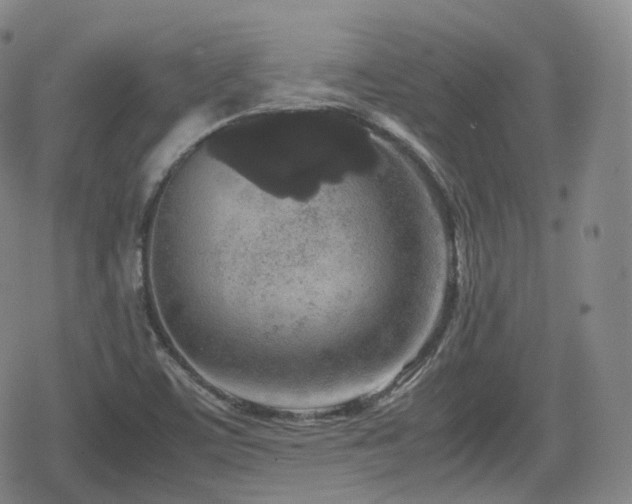 X0000080161459200612081323