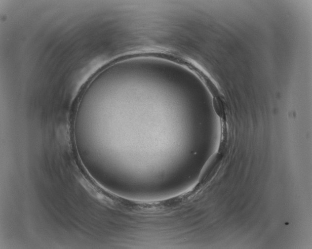 X0000080161460200612081323