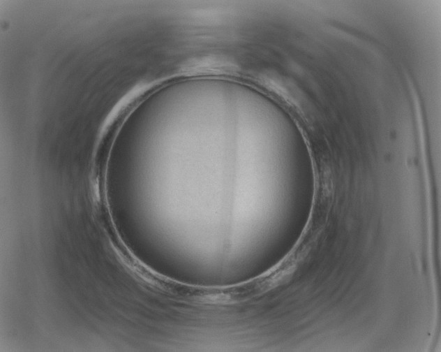 X0000080161462200612081323