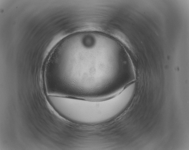 X0000080161468200612081323