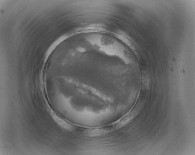 X0000080161474200612081323