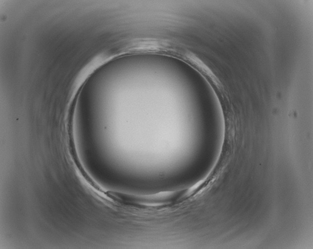 X0000080161475200612081323
