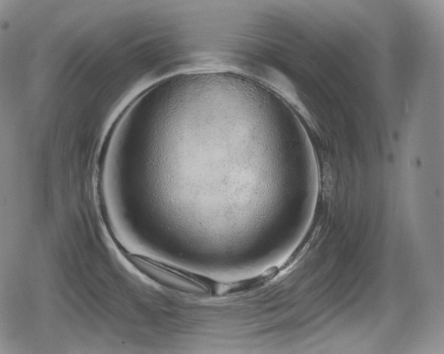 X0000080161484200612081323