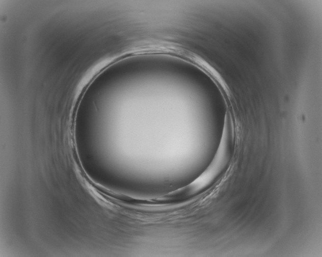 X0000080161485200612081323