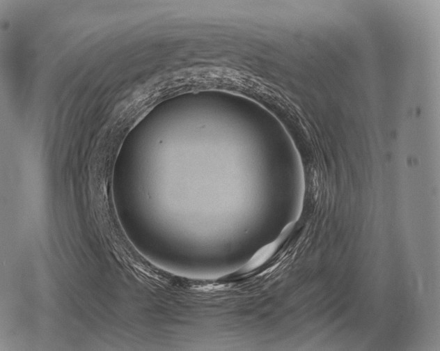 X0000080161489200612081322