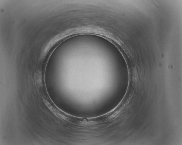X0000080161499200612081322
