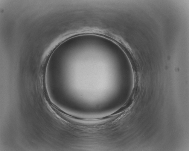 X0000080161504200612081322