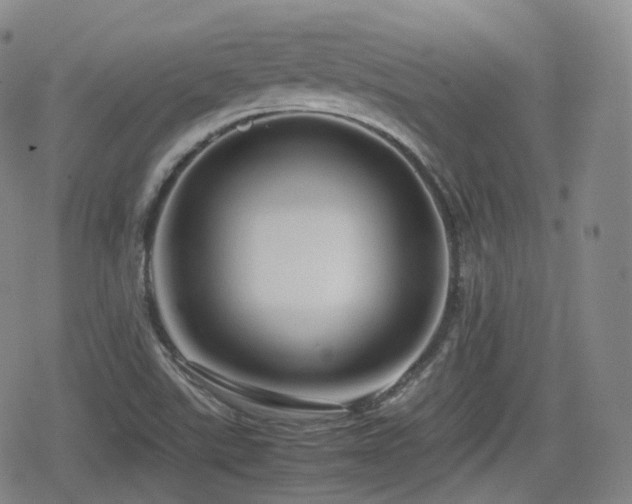 X0000080161507200612081322