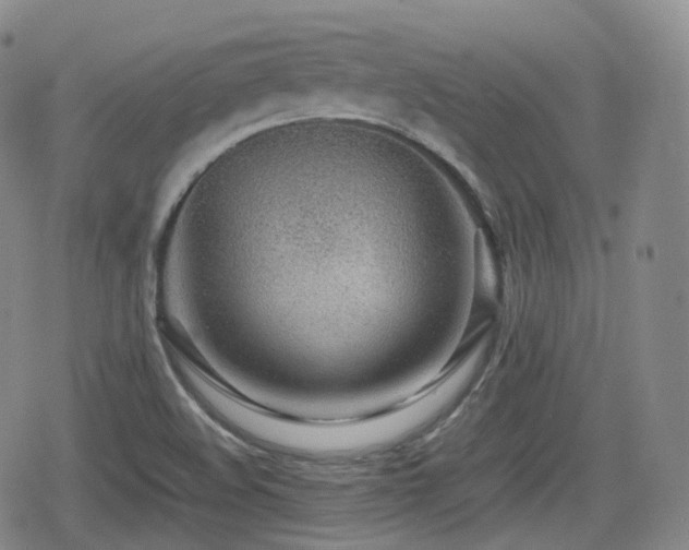 X0000080161508200612081322