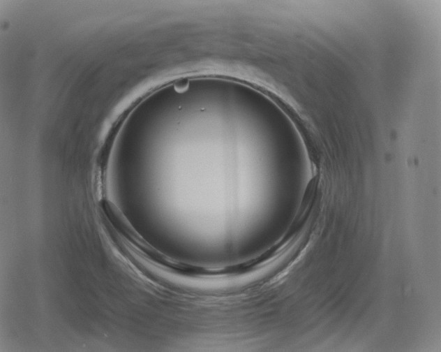 X0000080161510200612081322