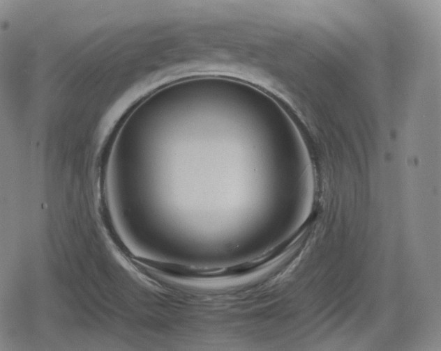 X0000080161511200612081322