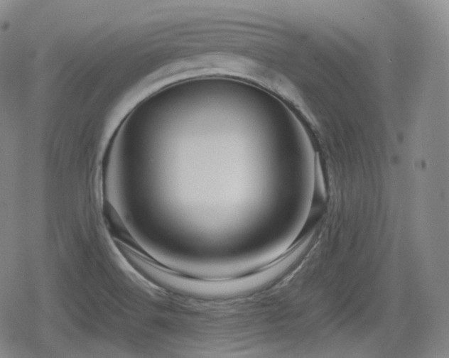 X0000080161516200612081322