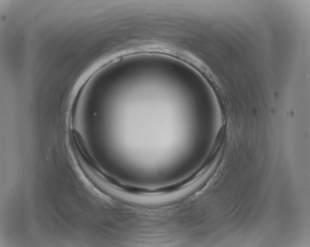 X0000080161520200612081322