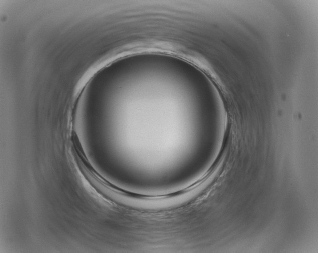 X0000080161524200612081322