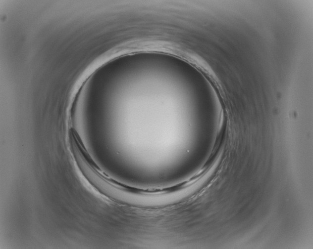 X0000080161528200612081322