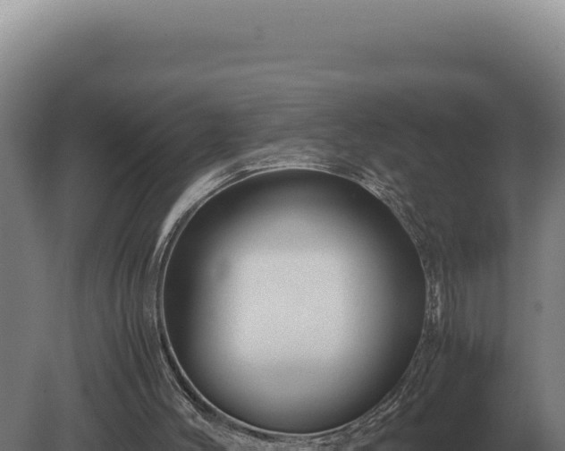 X0000080160004200612151908