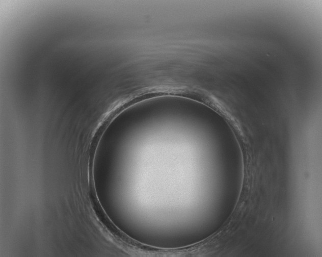 X0000080160011200612151908