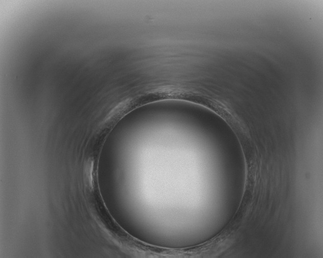 X0000080160024200612151907