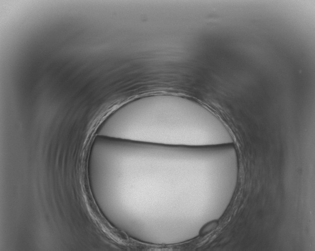 X0000080160049200612151906
