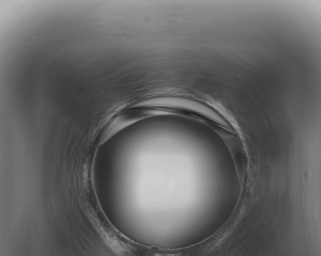 X0000080160057200612151906