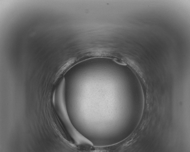 X0000080160105200612151906