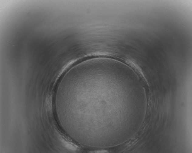 X0000080160108200612151906