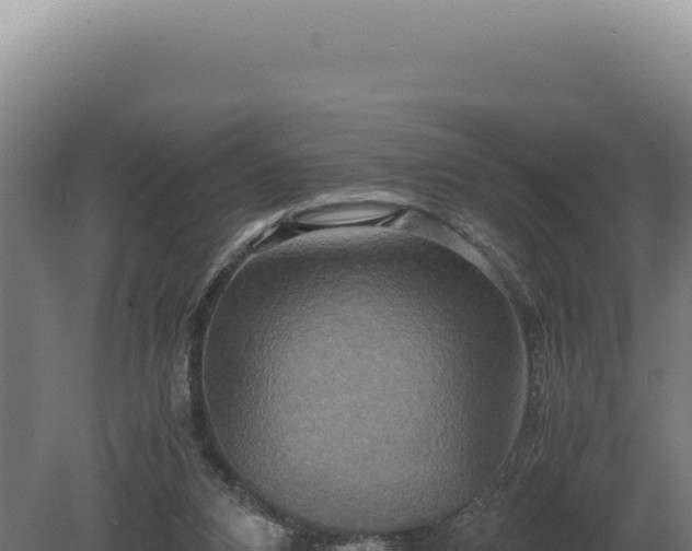 X0000080160112200612151906