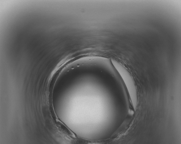 X0000080160150200612151905