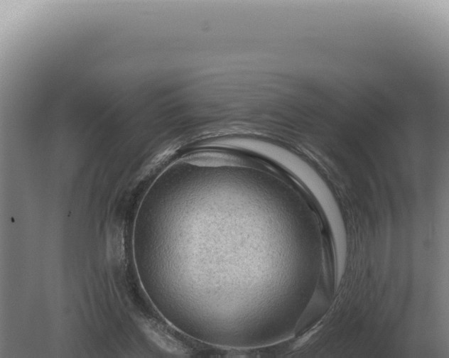 X0000080160158200612151905