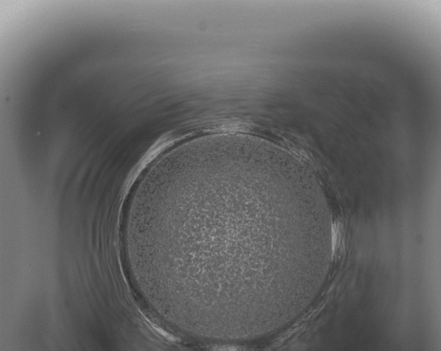 X0000080160195200612151905