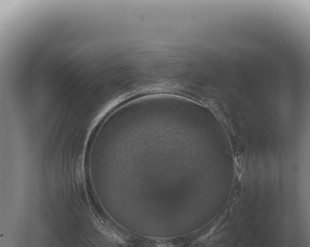 X0000080160196200612151905