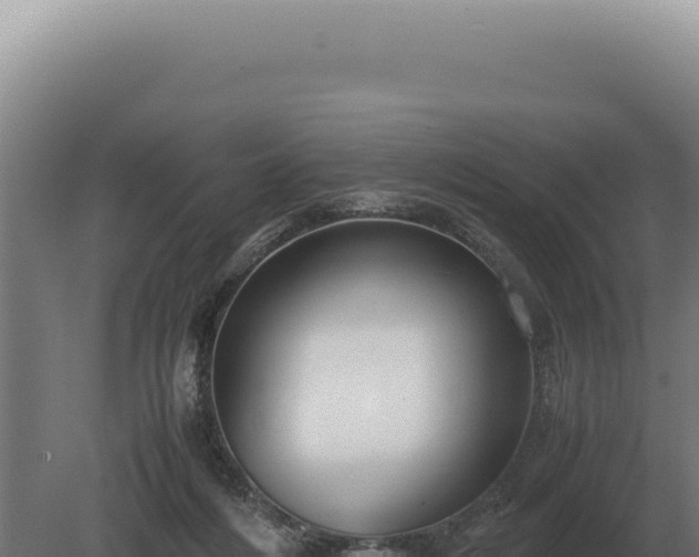 X0000080160216200612151904