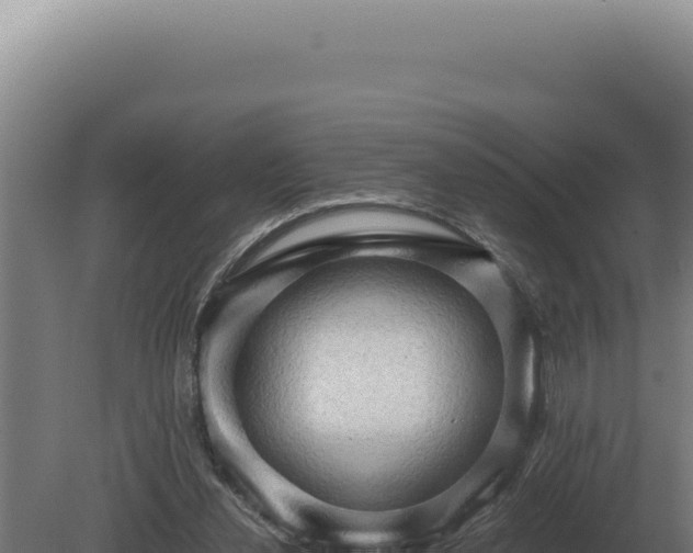 X0000080160252200612151903