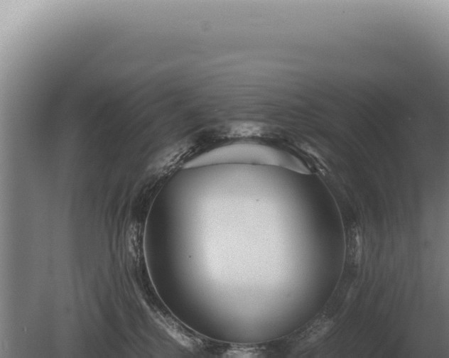 X0000080160280200612151904