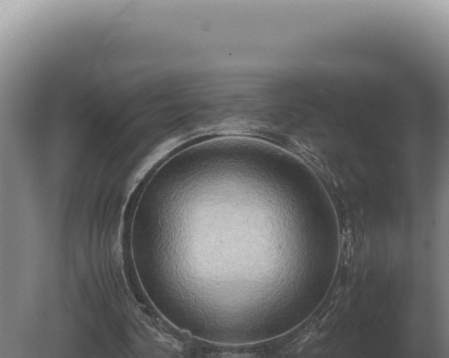 X0000080160292200612151903