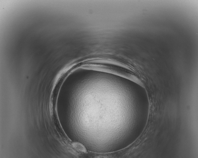 X0000080160294200612151903