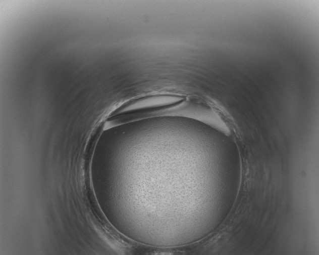 X0000080160298200612151903